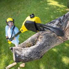  Centerport, NY Tree Removal and Landscaping Services Pros